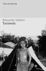 Tarntula. 